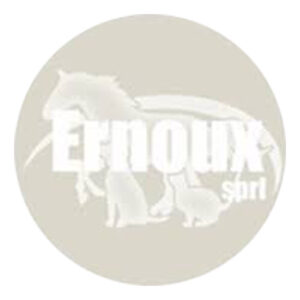 logo Ernoux-OK